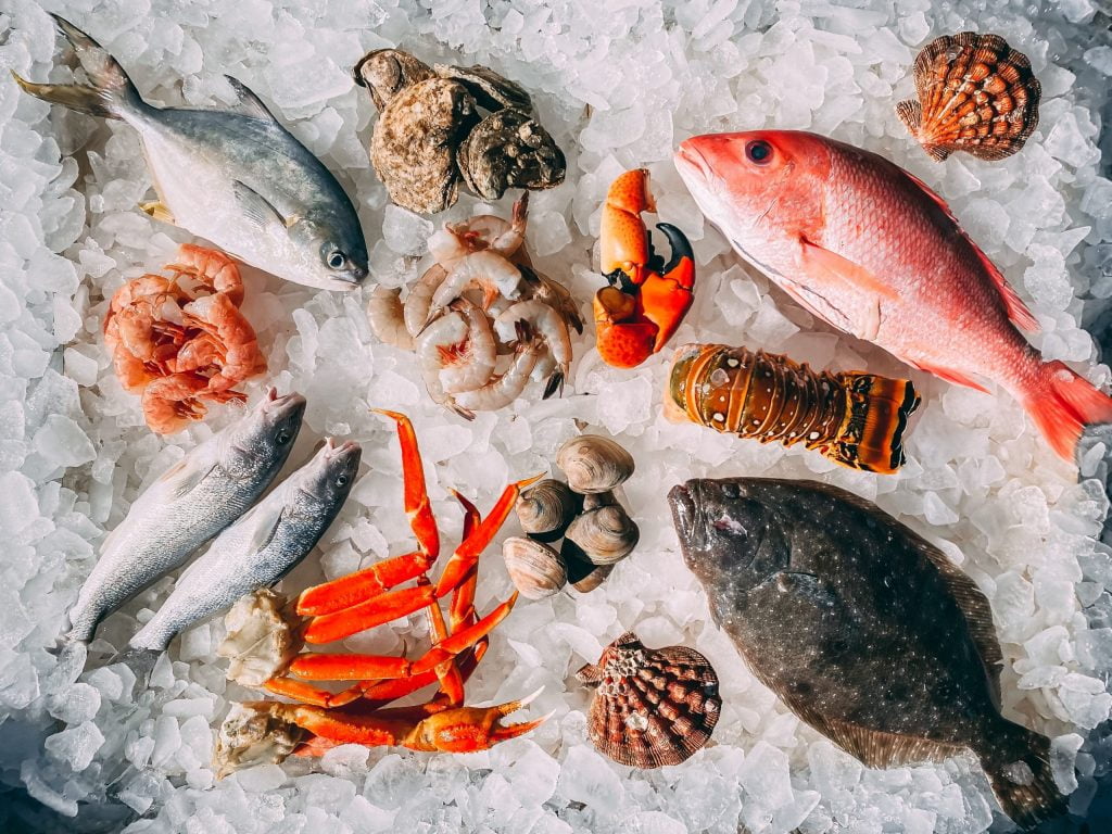 mike bergmann tHjXXy1kk Q unsplash scaled 1 I FRESHEST MARKETING SDN BHD About us iFresh2u! Online Seafood Delivery From Sekinchan to your Doorstep. We supply complete range of local seafood, meat, chicken, vegetables, fruits and many more.