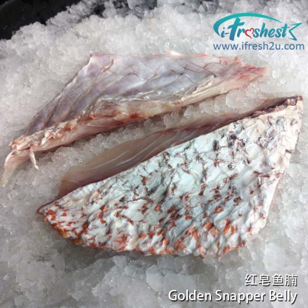 2 1 I FRESHEST MARKETING SDN BHD 红皂鱼腩 Golden Snapper Belly 1pcs iFresh2u! Online Seafood Delivery From Sekinchan to your Doorstep. We supply complete range of local seafood, meat, chicken, vegetables, fruits and many more.