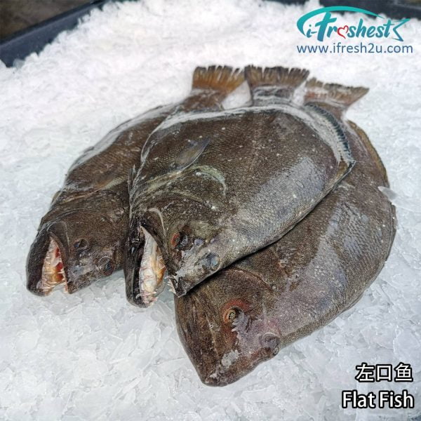 3 1500x1500 3 I FRESHEST MARKETING SDN BHD 左口鱼 Flat Fish 1Pcs iFresh2u! Online Seafood Delivery From Sekinchan to your Doorstep. We supply complete range of local seafood, meat, chicken, vegetables, fruits and many more.