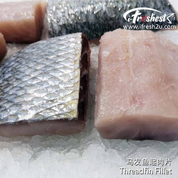 F1 800x800 1 I FRESHEST MARKETING SDN BHD Threadfin Fillet 1Pcs iFresh2u! Online Seafood Delivery From Sekinchan to your Doorstep. We supply complete range of local seafood, meat, chicken, vegetables, fruits and many more.