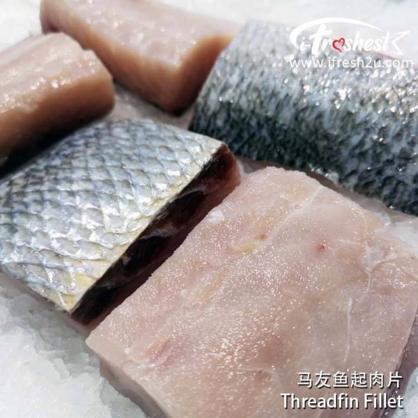 F3 800x800 1 I FRESHEST MARKETING SDN BHD Threadfin Fillet 1Pcs iFresh2u! Online Seafood Delivery From Sekinchan to your Doorstep. We supply complete range of local seafood, meat, chicken, vegetables, fruits and many more.