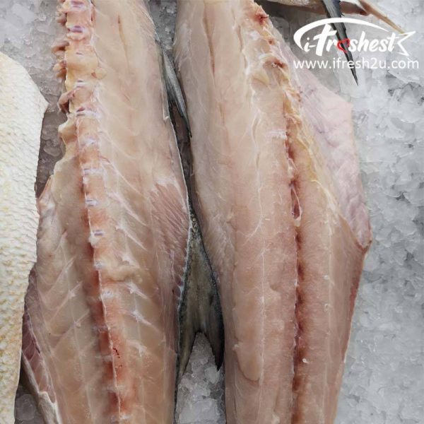 tfwfiillet 2 800x800 1 I FRESHEST MARKETING SDN BHD Big Threadfin (Whole Fish Fillet) iFresh2u! Online Seafood Delivery From Sekinchan to your Doorstep. We supply complete range of local seafood, meat, chicken, vegetables, fruits and many more.