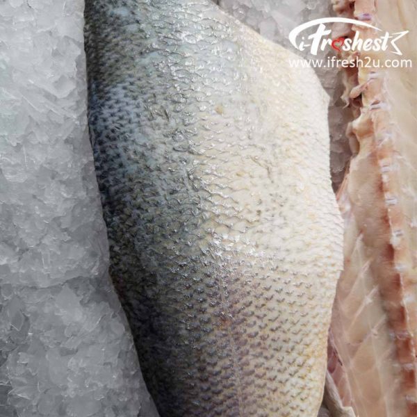 tfwfiillet 3 800x800 1 I FRESHEST MARKETING SDN BHD Big Threadfin (Whole Fish Fillet) iFresh2u! Online Seafood Delivery From Sekinchan to your Doorstep. We supply complete range of local seafood, meat, chicken, vegetables, fruits and many more.