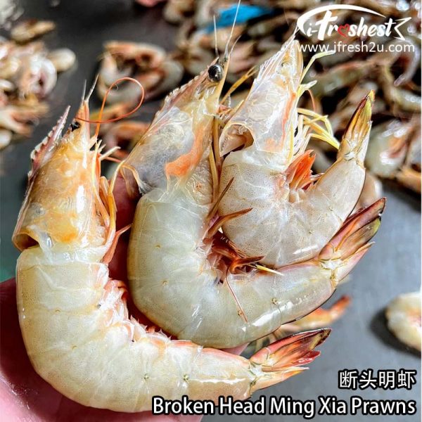 断头明虾1 I FRESHEST MARKETING SDN BHD 断头明虾 Broken Head Ming Xia Prawns 1 Box iFresh2u! Online Seafood Delivery From Sekinchan to your Doorstep. We supply complete range of local seafood, meat, chicken, vegetables, fruits and many more.