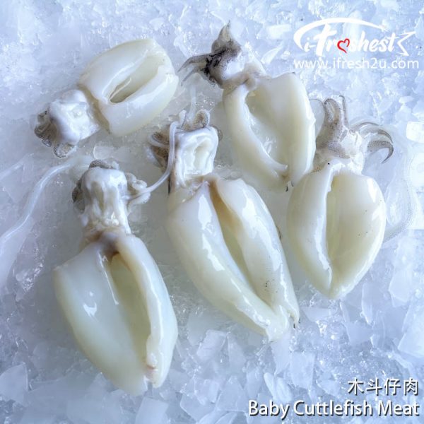 baby cuttlefish meat2 I FRESHEST MARKETING SDN BHD 木斗肉 Baby Cuttlefish Meat iFresh2u! Online Seafood Delivery From Sekinchan to your Doorstep. We supply complete range of local seafood, meat, chicken, vegetables, fruits and many more.