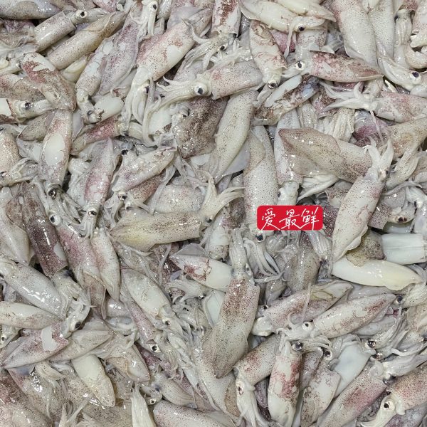 IMG 6259 1 scaled I FRESHEST MARKETING SDN BHD 苏东 Sotong iFresh2u! Online Seafood Delivery From Sekinchan to your Doorstep. We supply complete range of local seafood, meat, chicken, vegetables, fruits and many more.