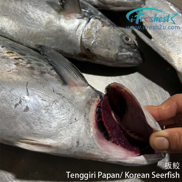 tenggiri papan1 I FRESHEST MARKETING SDN BHD 板鲛 Tenggiri Papan/ Korean Seerfish 1Pcs iFresh2u! Online Seafood Delivery From Sekinchan to your Doorstep. We supply complete range of local seafood, meat, chicken, vegetables, fruits and many more.