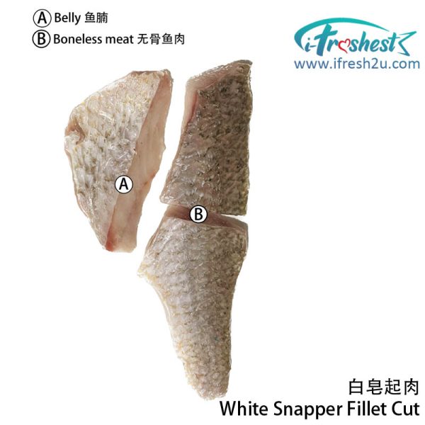 white snapper fillet cut 2 I FRESHEST MARKETING SDN BHD 白皂整只起肉 *6片* 1只 White Snapper Fillet Cut *Cut into 6* 1Pcs iFresh2u! Online Seafood Delivery From Sekinchan to your Doorstep. We supply complete range of local seafood, meat, chicken, vegetables, fruits and many more.