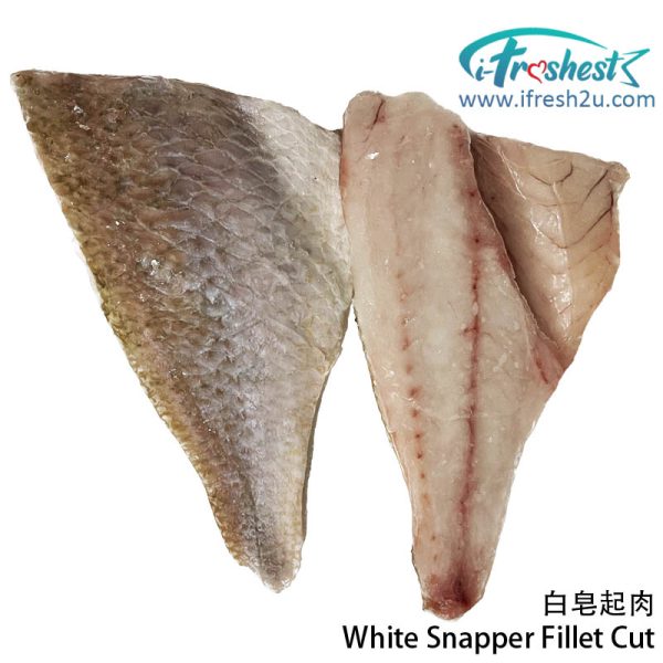 white snapper fillet cut 5 I FRESHEST MARKETING SDN BHD 白皂整只起肉 *2片* 1只 White Snapper Fillet Cut *Cut into 2* 1Pcs iFresh2u! Online Seafood Delivery From Sekinchan to your Doorstep. We supply complete range of local seafood, meat, chicken, vegetables, fruits and many more.