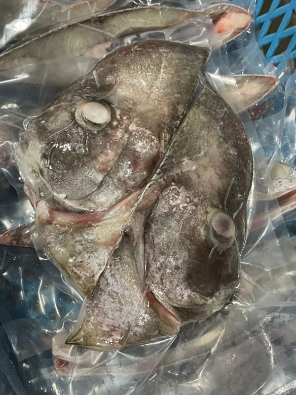 BATFISH HEAD I FRESHEST MARKETING SDN BHD Batfish Steak 1Pcs 牛鲳切片 iFresh2u! Online Seafood Delivery From Sekinchan to your Doorstep. We supply complete range of local seafood, meat, chicken, vegetables, fruits and many more.