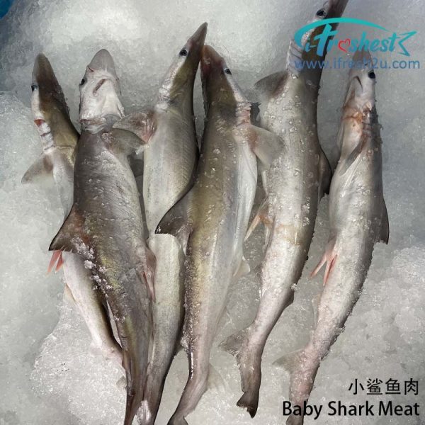 baby shark meat 1 I FRESHEST MARKETING SDN BHD 小鲨鱼肉 Baby Shark Meat iFresh2u! Online Seafood Delivery From Sekinchan to your Doorstep. We supply complete range of local seafood, meat, chicken, vegetables, fruits and many more.