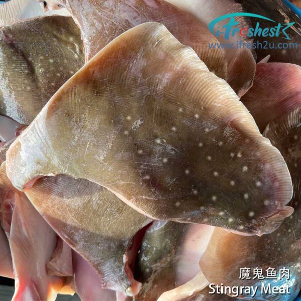 pari4 1692158901 I FRESHEST MARKETING SDN BHD 魔鬼鱼/方鱼肉 Stingray Meat 1Pcs (Below 1Kg) iFresh2u! Online Seafood Delivery From Sekinchan to your Doorstep. We supply complete range of local seafood, meat, chicken, vegetables, fruits and many more.