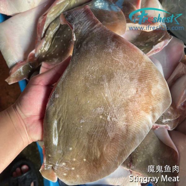 pari 3 1692158901 I FRESHEST MARKETING SDN BHD 魔鬼鱼/方鱼肉 Stingray Meat 1Pcs (1kg - 4Kg) iFresh2u! Online Seafood Delivery From Sekinchan to your Doorstep. We supply complete range of local seafood, meat, chicken, vegetables, fruits and many more.