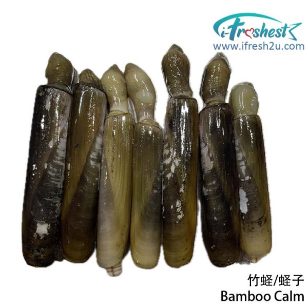 bamboo calm 1703994953 I FRESHEST MARKETING SDN BHD 竹蛏/蛏子 Bamboo Calm iFresh2u! Online Seafood Delivery From Sekinchan to your Doorstep. We supply complete range of local seafood, meat, chicken, vegetables, fruits and many more.