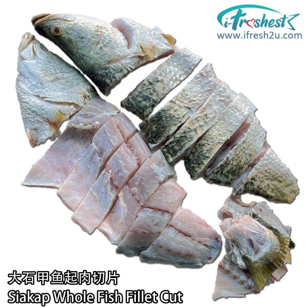 sikap fillet cut 1706323179 I FRESHEST MARKETING SDN BHD 大石甲整只起肉 Barramundi (Siakap) Fillet Cut 1Pcs iFresh2u! Online Seafood Delivery From Sekinchan to your Doorstep. We supply complete range of local seafood, meat, chicken, vegetables, fruits and many more.