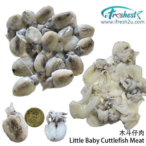 LITTLE baby cuttlefish meat 1708750552 I FRESHEST MARKETING SDN BHD 木斗肉 Baby Cuttlefish Meat iFresh2u! Online Seafood Delivery From Sekinchan to your Doorstep. We supply complete range of local seafood, meat, chicken, vegetables, fruits and many more.