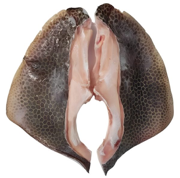 2 1721465637 I FRESHEST MARKETING SDN BHD 老虎方鱼肉 Tiger Stingray Meat 1Pcs (1.0Kg- 2.0Kg) iFresh2u! Online Seafood Delivery From Sekinchan to your Doorstep. We supply complete range of local seafood, meat, chicken, vegetables, fruits and many more.