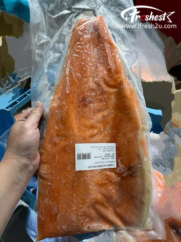 Frozen Coho Salmon 冷冻银鲑鱼