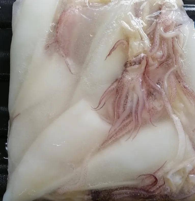 Sotong 苏东