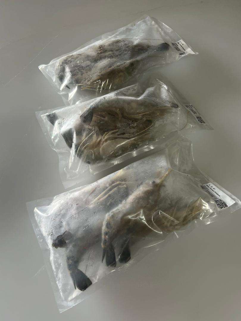 Big Head Prawn 大头虾