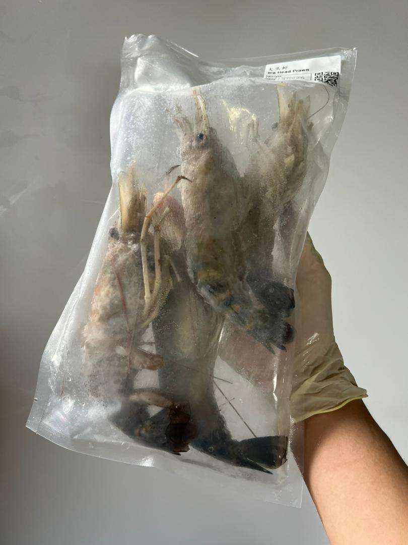 Big Head Prawn 大头虾