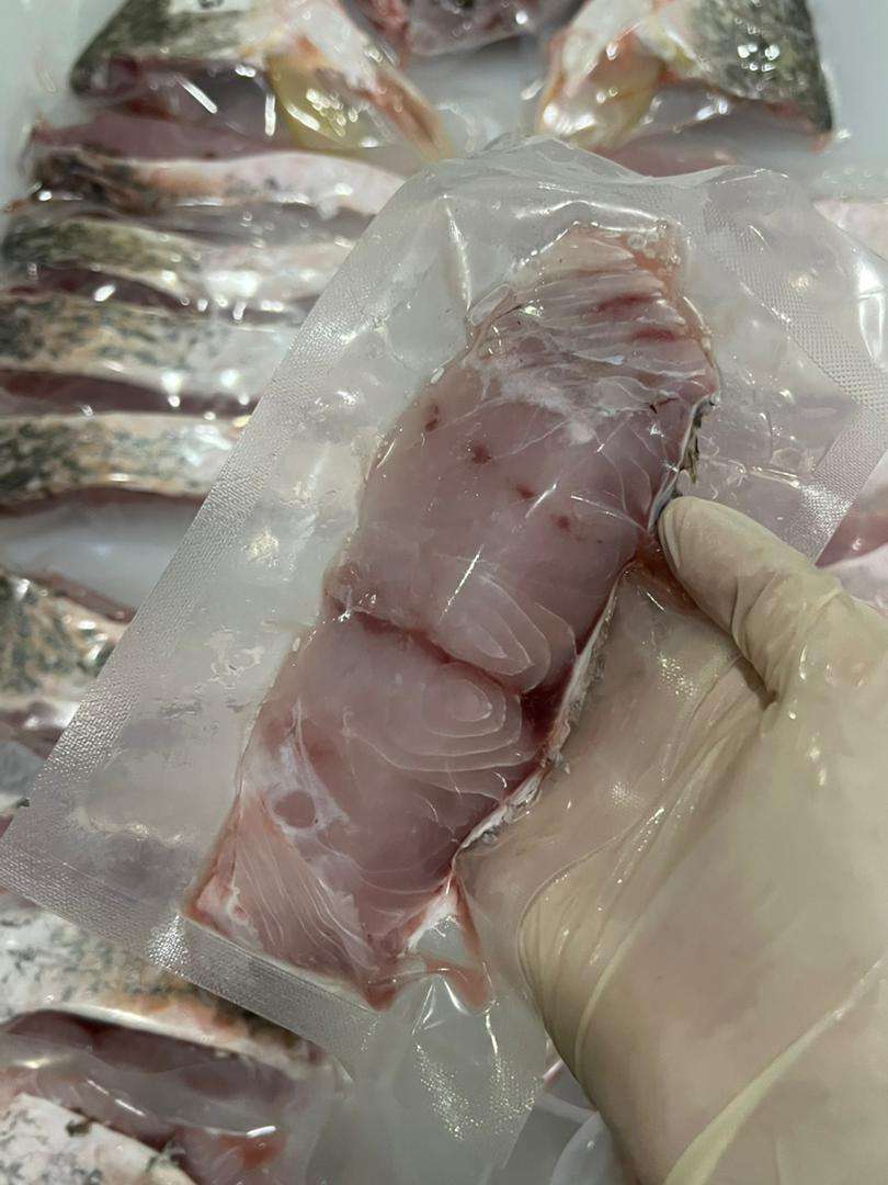 Wild Barramundi (Siakap) Whole Fish Fillet Cut 野生大石甲整只起肉切片