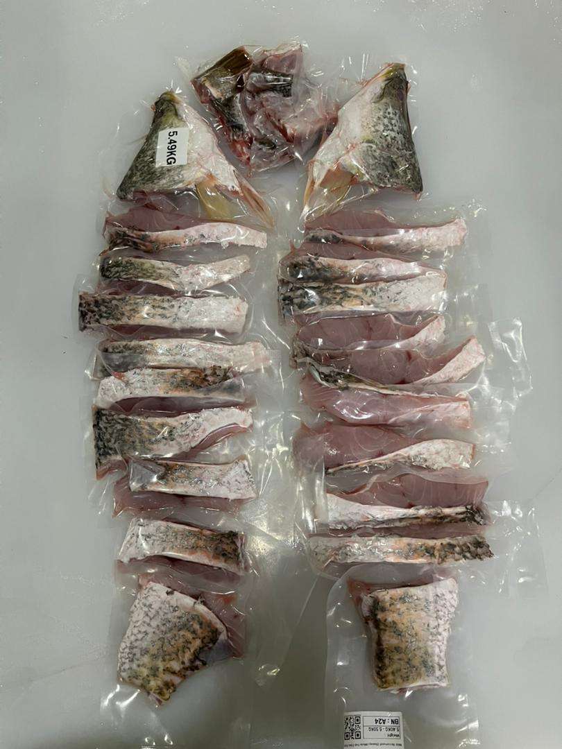 Wild Barramundi (Siakap) Whole Fish Fillet Cut 野生大石甲整只起肉切片